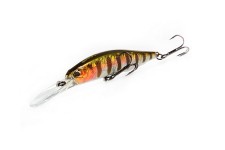 Копия Realis 100DR