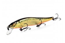 Копия Vision 110SP