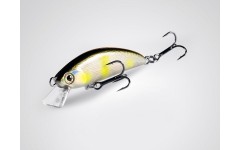 Bearking Sukari 50SS цвет I Runway