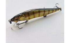 Bearking Vision 110SP цвет B