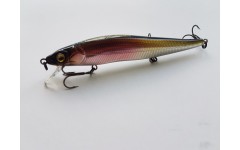 Bearking Vision 110SP цвет D Western clown