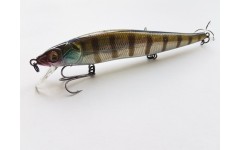 Bearking Vision 110SP цвет E