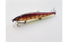 Bearking Vision 110SP цвет H End Max