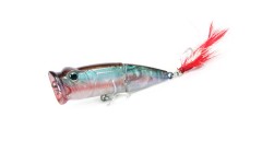 Bearking Tank 70F цвет B