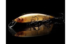 Bearking Kanata 160F цвет E Kisyu Ayu Bearking Kanata 160F цвет E Kisyu Ayu