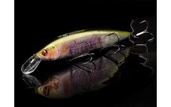 Bearking Kanata 160F цвет L Setsuki Ayu Bearking Kanata 160F цвет L Setsuki Ayu