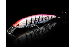 Bearking Kanata 160F цвет P Rainbow Perch Bearking Kanata 160F цвет P Rainbow Perch