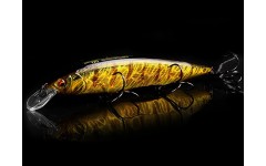 Bearking Kanata 160F цвет Q Gold Perch Bearking Kanata 160F цвет Q Gold Perch