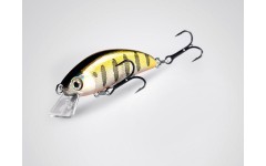 Bearking Sukari 50SS цвет B Perch