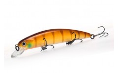 Bearking Varuna 110SP цвет H Bearking Varuna 110SP цвет H