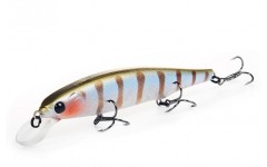 Bearking Riprizer 110F цвет E