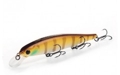 Bearking Riprizer 110F цвет H