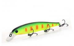 Bearking Riprizer 110F цвет N