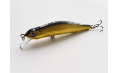 Bearking Orbit 80SP цвет C