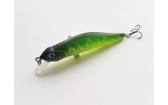 Bearking Orbit 80SP цвет L