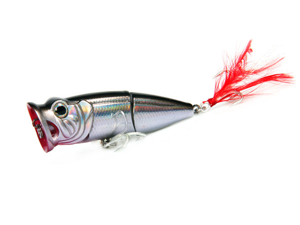 фото Bearking Tank 70F цвет C