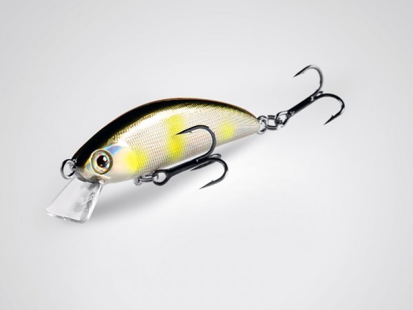 фото Bearking Sukari 50SS цвет I Runway