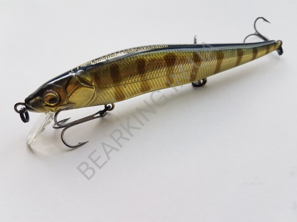 фото Bearking Vision 110SP цвет B