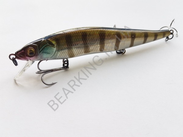 фото Bearking Vision 110SP цвет E