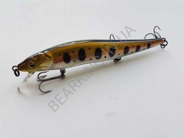 фото Bearking Vision 110SP цвет G