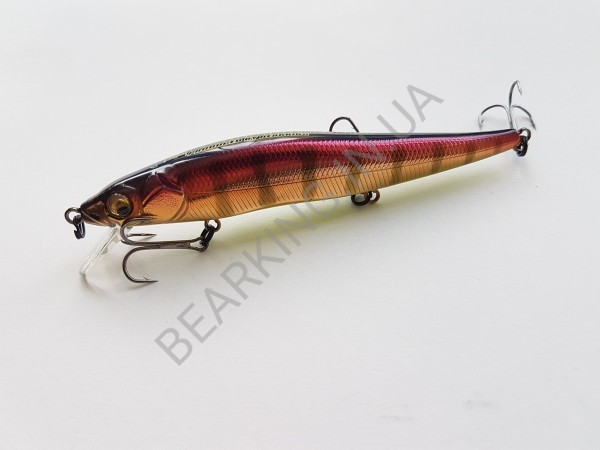 фото Bearking Vision 110SP цвет H End Max