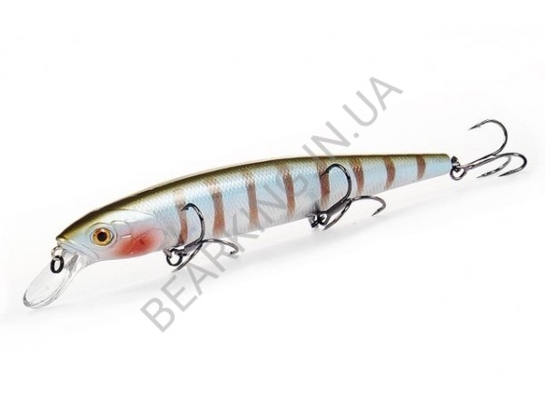 фото Bearking MagSquad 128SP цвет E Silver Perch