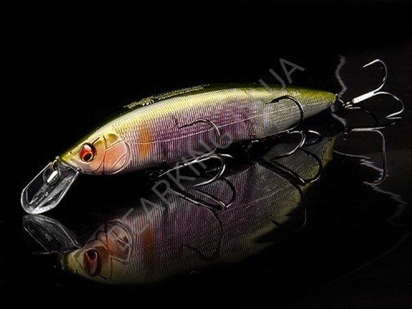 фото Bearking Kanata 160F цвет L Setsuki Ayu