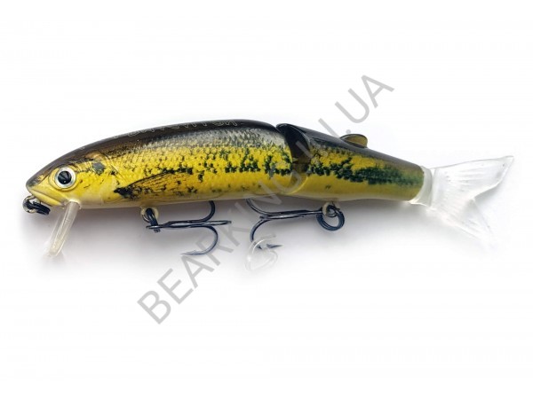 фото Bearking Magallon 113F цвет P Carp